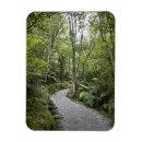 Recherche de pieds magnets Nature