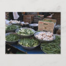 Recherche de haricots cartes postales Légumes