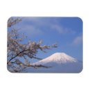 Recherche de montée magnets Arbre