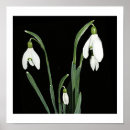 Recherche de fleur noir blanc art Classique
