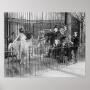 Zoek naar dierentuin posters Retro