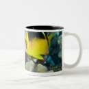Recherche de marines tasses Horizontal