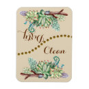 Recherche de cactus magnets Aquarelle