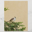 Recherche de faune prospectus Nature