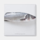 Recherche de fruits mer de magnets Vie marine