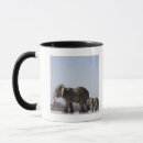 Recherche de intégrale tasses Collage