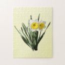 Recherche de jonquilles puzzles Printemps