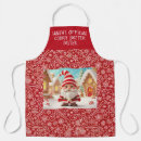 Zoek naar elf schorten Sinterklaas