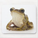Recherche de reptiles tapis souris Coquilles