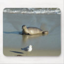 Recherche de phoque tapis souris Océan