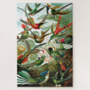 Recherche de hummingbird puzzles Oiseau