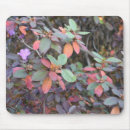 Recherche de automne feuille tapis souris Feuillage