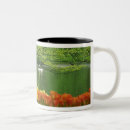 Recherche de lisse tasses Néerlandais