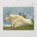 Recherche de chèvres cartes postales Animaux