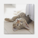 Zoek naar kitten magneten Dag
