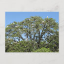 Recherche de le furet cartes postales Pour tous