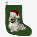 Recherche de écossais chaussette de noël Terrier