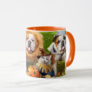 Recherche de avanti tasses Chiens