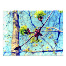 Recherche de fleurs stylisées posters Nature