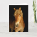 Recherche de haflinger vœux cartes Pony