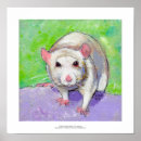 Zoek naar ratten posters Schilderij