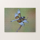 Zoek naar insecten puzzels Blauw