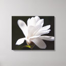 Zoek naar muurkunst Natuur