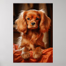 Recherche de cavalier king charles spaniel posters Caverne