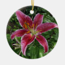 Zoek naar stargazer lily decor Groen