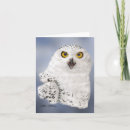 Recherche de oiseau de neige vœux cartes Drôle