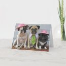Recherche de dimanche vœux cartes Animaux