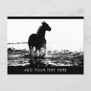 Recherche de cheval course cartes postales Animaux