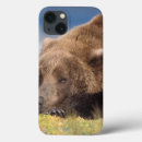 Recherche de ursus coques Faune