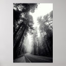 Zoek naar bosbouw posters Landschap