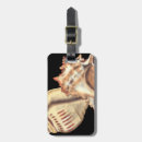 Zoek naar schelpen accessoires Seashell