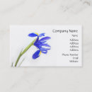 Recherche de iris cartes visite Floral
