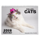 Recherche de chats de chat photographie Animaux