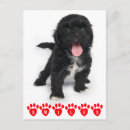 Recherche de sourire cartes postales Chiots