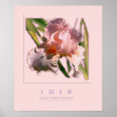 Zoek naar iris posters Waterverf