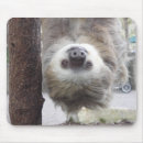 Zoek naar sloth muismatten Schattig