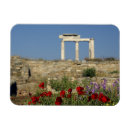 Recherche de ruiné magnets Architectural
