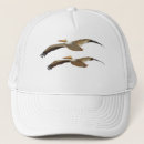 Recherche de pélican blanc casquettes Oiseau