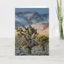 Recherche de habitat vœux cartes Judith zimmerman