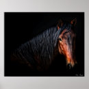 Recherche de portrait de cheval posters Chevaux
