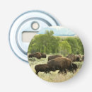 Recherche de bison ouvre bouteilles Nature