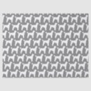 Recherche de caniche blanc Chien