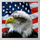 Recherche de nous aigle art États unis