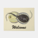 Recherche de rayon de piqûre Poisson
