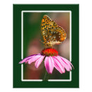 Recherche de beau pourpre posters Fleurs