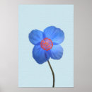 Recherche de poppy posters Flower
